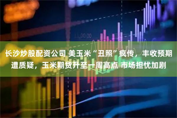 长沙炒股配资公司 美玉米“丑照”疯传，丰收预期遭质疑，玉米期货升至一周高点 市场担忧加剧