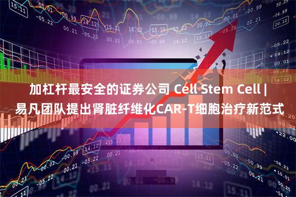 加杠杆最安全的证券公司 Cell Stem Cell | 易凡团队提出肾脏纤维化CAR-T细胞治疗新范式