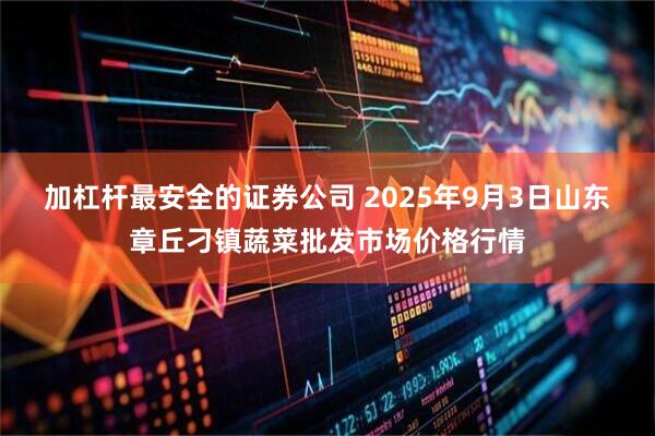 加杠杆最安全的证券公司 2025年9月3日山东章丘刁镇蔬菜批发市场价格行情