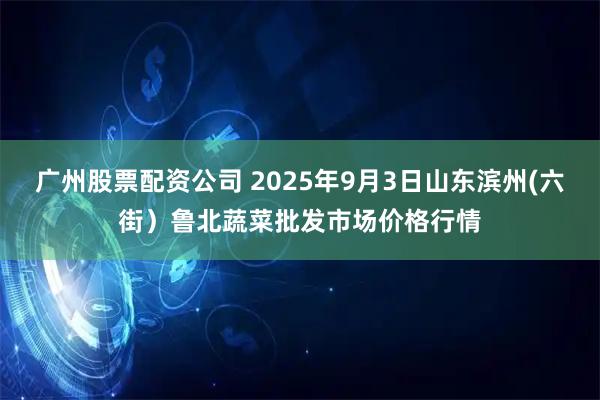 广州股票配资公司 2025年9月3日山东滨州(六街)鲁北蔬菜批发市场价格行情