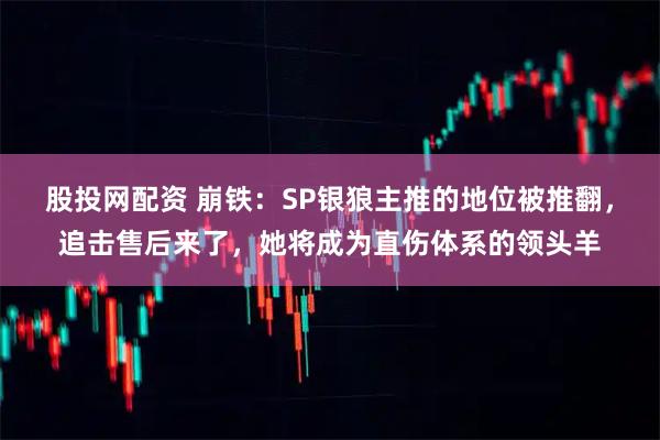 股投网配资 崩铁：SP银狼主推的地位被推翻，追击售后来了，她将成为直伤体系的领头羊
